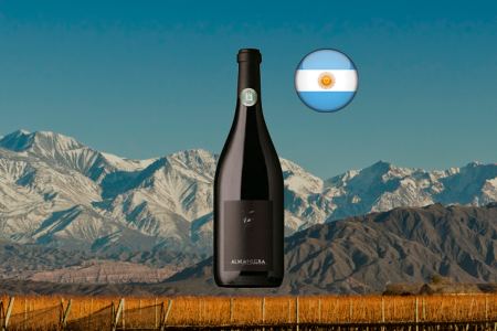 Alma Negra Pinot Noir 2021 - Thumbnail