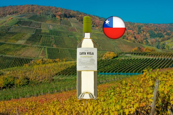 Carta Vieja Sauvignon Blanc - Thumbnail