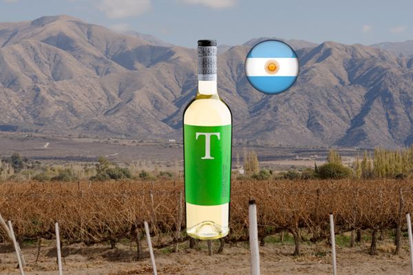 Goulart T Torrontés Small Production 2023 - Thumbnail