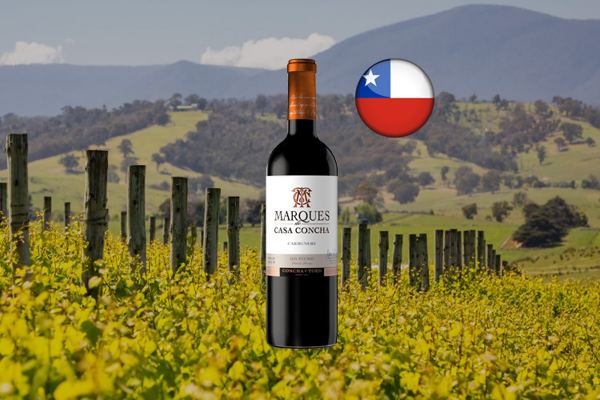 Marques De Casa Concha Carmenere - Thumbnail