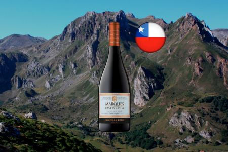 Marques De Casa Concha Pinot Noir 2018 - Thumbnail