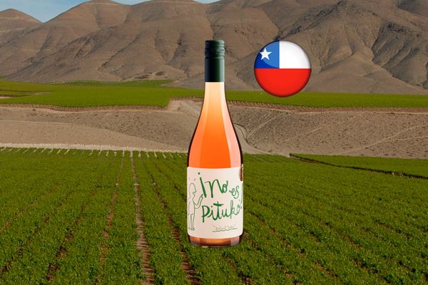No es Pituko País Rosé 2023 - Thumbnail