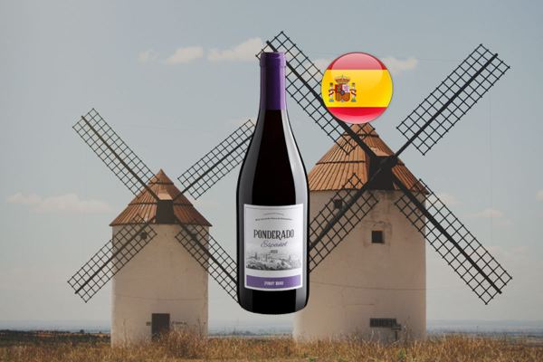 Ponderado Pinot Noir 2022 Thumbnail