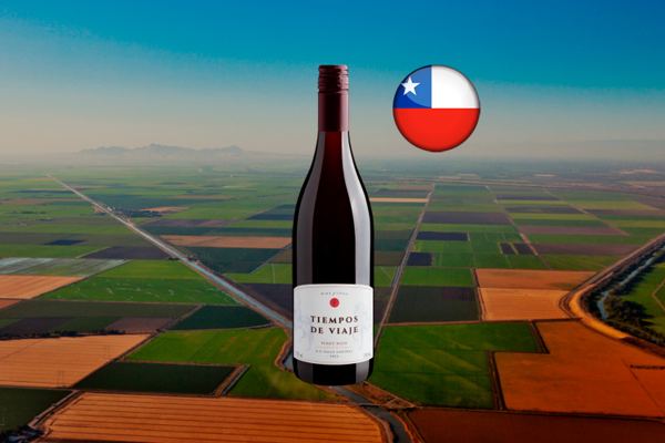 Tiempos de Viaje Pinot Noir Valle Central DO 2022 - Thumbnail