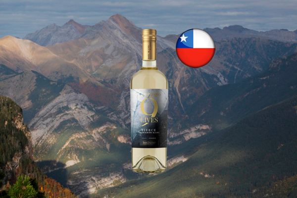 Gato Negro 9 Lives Sauvignon Blanc - Thumbnail