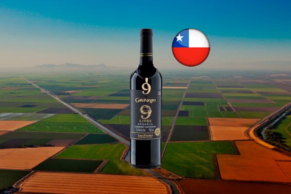 Gato Negro Reserva 9 Lives Cabernet Sauvignon - Thumbnail