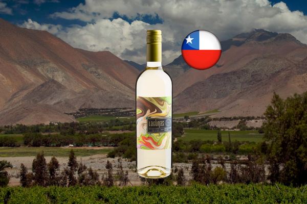Lagunas Sauvignon Blanc Valle Central DO 2023 - Thumbnail