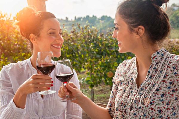 Merlot pelo Mundo Uma Jornada Sensorial
