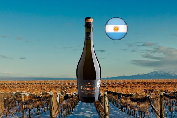 Mumm Domaine Extra Brut - Thumbnail