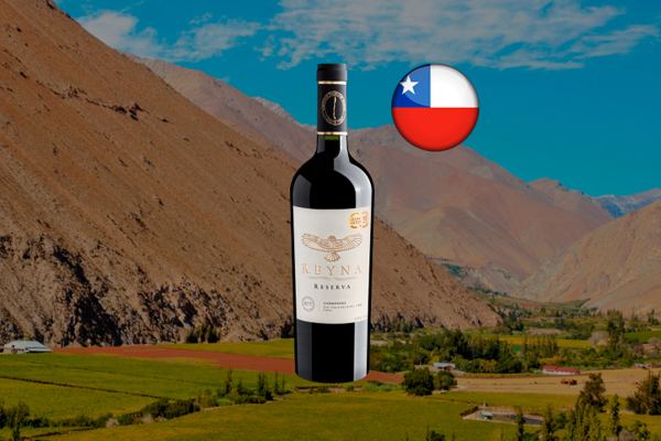 Reyna Reserva Carmenere Valle del Rapel DO 2022 - Thumbnail