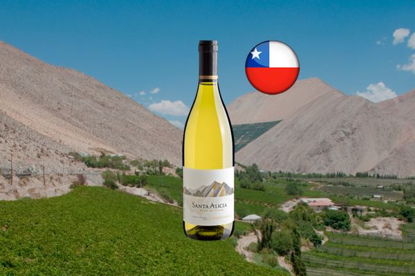 Santa Alicia Chardonnay 2023 - Thumbnail