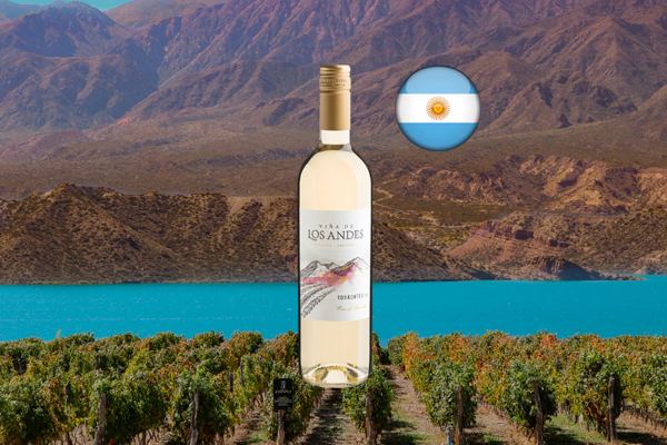 Viña de Los Andes Torrontés 2023 - Thumbnail