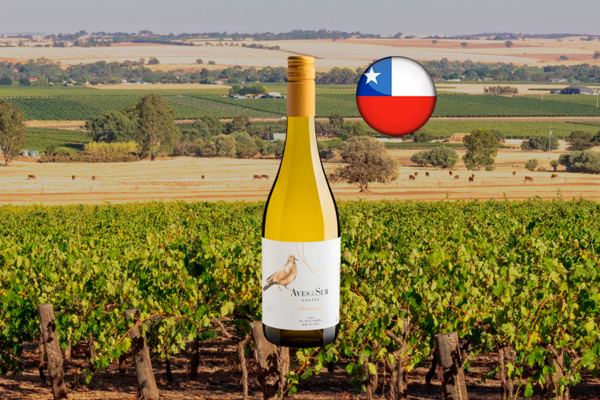 Aves Del Sur Chardonnay Valle del Loncomilla DO 2023 - Thumbnail