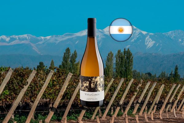 Cobos Vinculum Chardonnay 2020 - Thumbnail