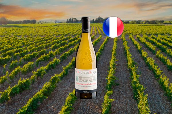 Maison Brotte Les Hauts de Barville Châteauneuf-Du-Pape AOC 2021 - Thumbnail