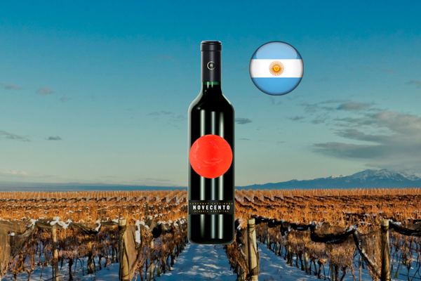 Novecento Cabernet Sauvignon - Thumbnail
