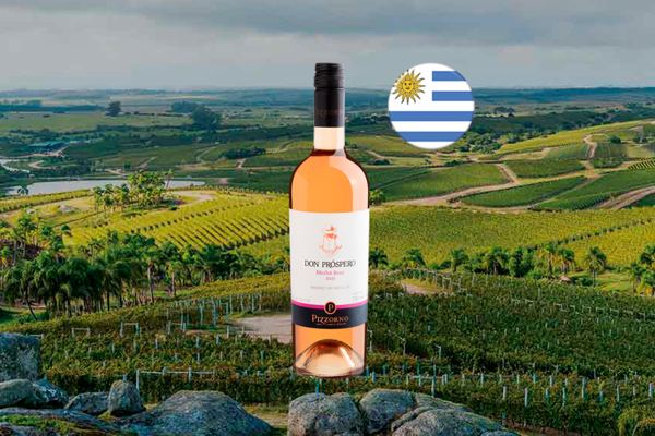 Pizzorno Don Prospero Merlot Rosé 2021 - Thumbnail