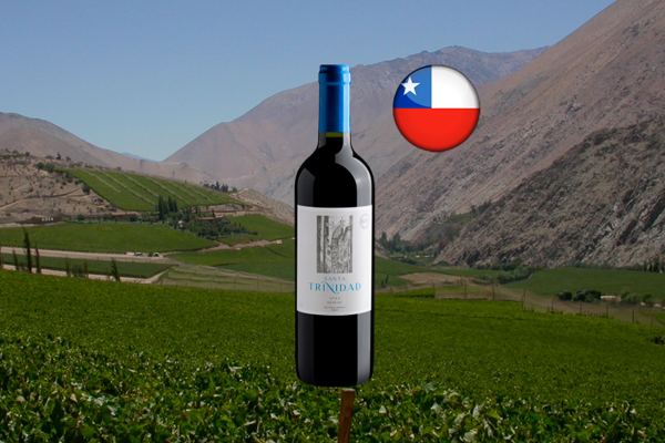Santa Trinidad Merlot Valle Central DO 2022 - Thumbnail