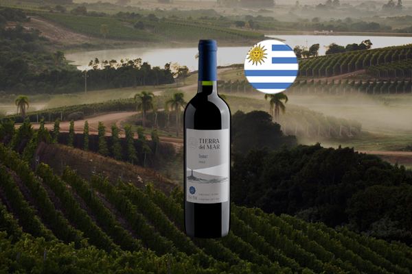 Tierra del Mar Tannat 2022 - Thumbnail
