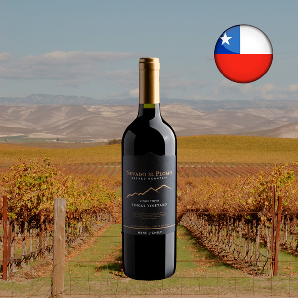 Nevado El Plomo Sacred Mountain Single Vineyard Tinto - Oferta