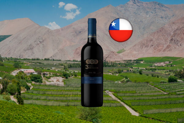 Santa Rita Tres Medallas Merlot - Thumbnail
