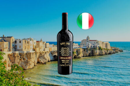 Campi Rudi Appassimento Rosso Puglia Passito IGT 2021 - Thumbnail