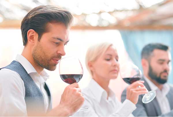 Château Puy Jeannie Castillon Côtes de Bordeaux AOC 2016 - Degustando