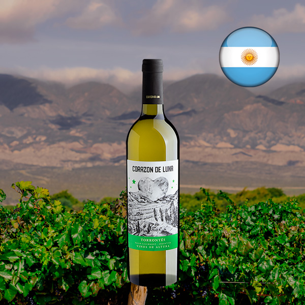 Corazon de Luna Torrontés Valle Calchaquí 2024 - Oferta