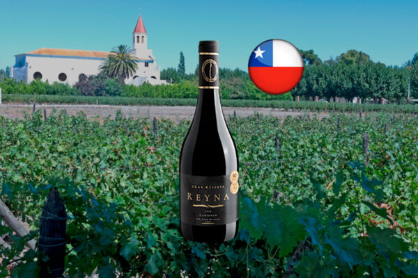 Reyna Gran Reserva Carignan Valle del Maule DO 2019 - Thumbnail