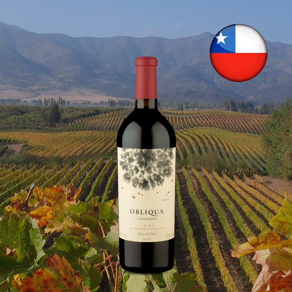 Ventisquero Obliqua DO Valle de Apalta Carménère 2020 - Oferta