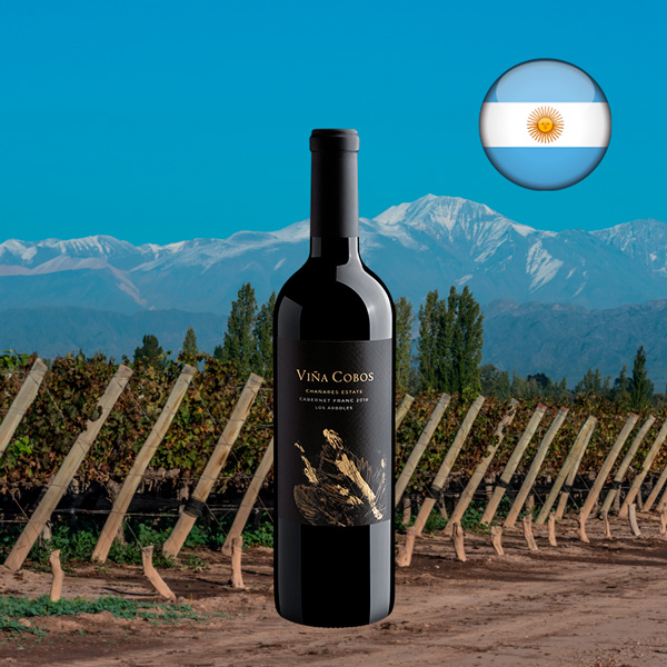Cobos Chañares Estate Los Árboles Cabernet Franc 2018 - Oferta