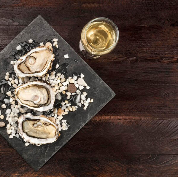 Errazuriz Estate Series Sauvignon Blanc Reserva 2023 - Harmonização