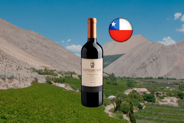 Expedicion Single Vineyard Selection Carménère Central Valley DO 2024 - Thumbnail