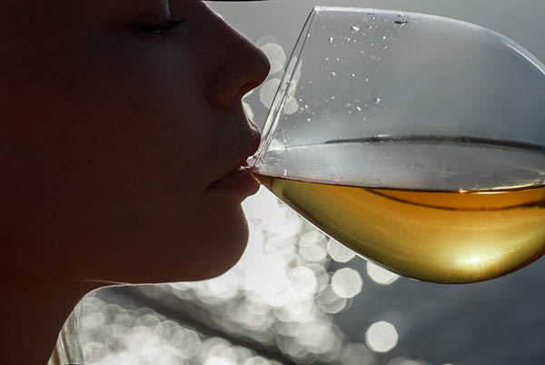 Nieto Senetiner Camila Chardonnay 2024 - Degustando