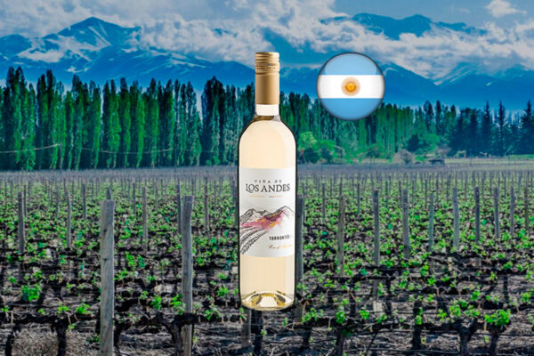 Viña de Los Andes Torrontés 2024 - Thumbnail