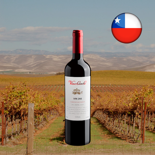 Vinchante Vin 266 Cabernet Sauvignon Central Valley 2022 - Oferta