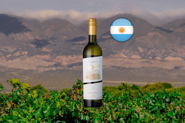 Colomé Torrontés Estate 2024 - Thumbnail