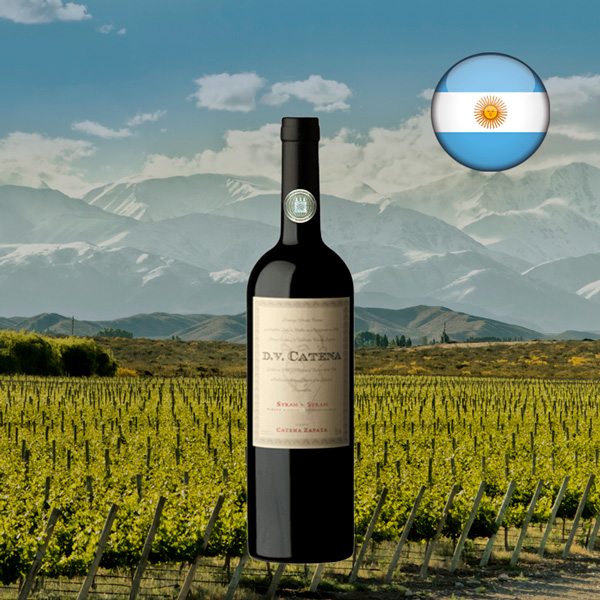 DV Catena Syrah-Syrah 2022 - Oferta
