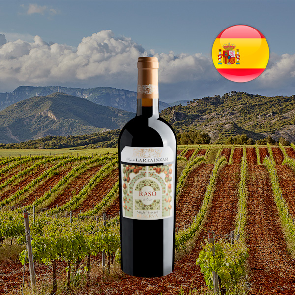 Raso de Larrainzar Single Vineyard Reserva Navarra DO 2014 - Oferta