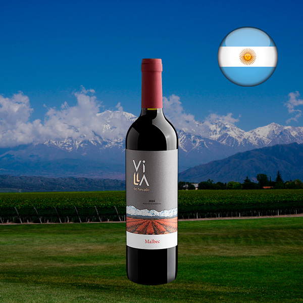 Villa del Nevado Cabernet Sauvignon 2024 - Oferta