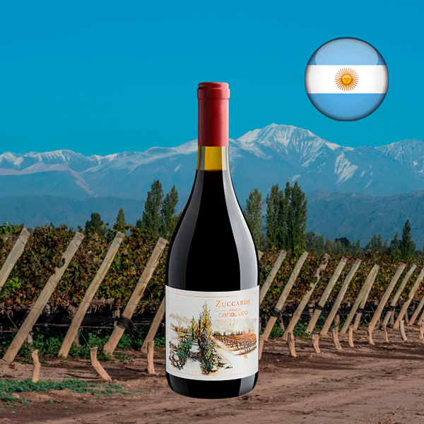 Zuccardi Finca Canal Uco 2013 - Oferta