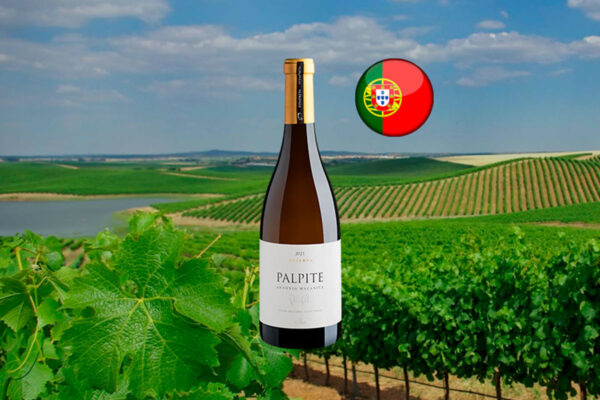 António Maçanita Palpite Reserva Alentejano 2021 - Thumbnail
