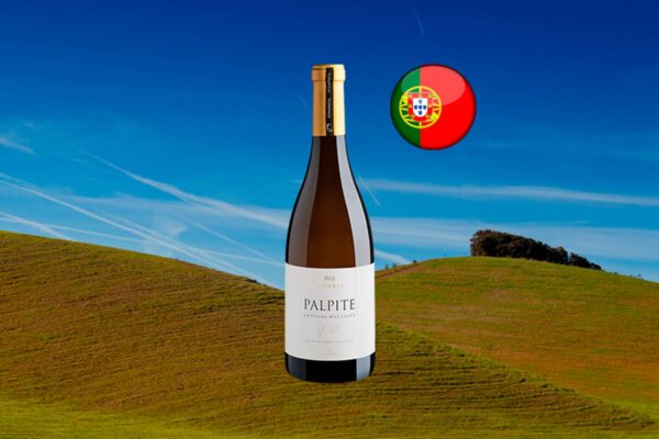 António Maçanita Palpite Reserva Alentejano 2022 - Thumbnail