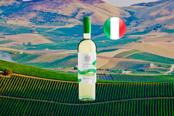 Barone Montalto Due Mondi Pinot Grigio Terre Siciliane IGT 2023 - Thumbnail