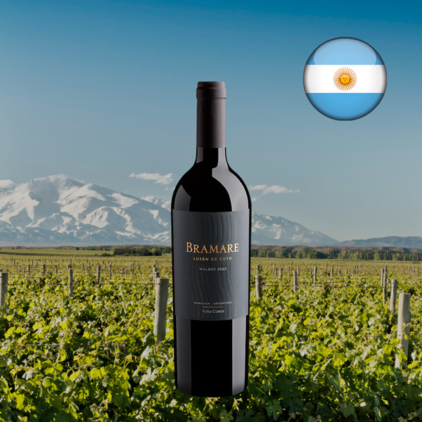Cobos Bramare Lujan De Cuyo Malbec 2022 - Oferta