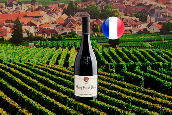 Domaine Michel Noellat Morey St Denis 2017 - Thumbnail