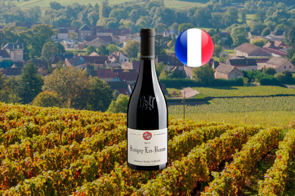 Domaine Michel Noellat Savigny Les Beaune Rouge 2017 - Thumbnail