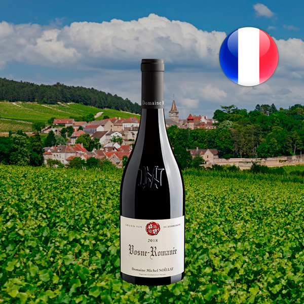 Domaine Michel Noellat Vosne Romanee 2018 - Oferta