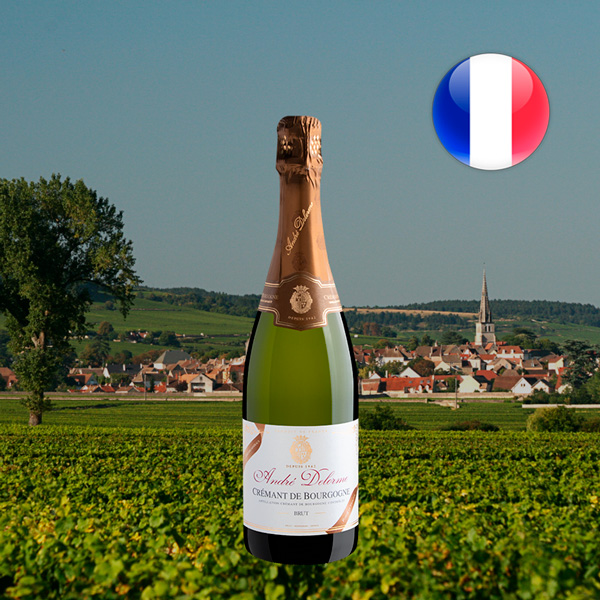 Espumante Andre Delorme Cremant de Bourgogne Brut - Oferta