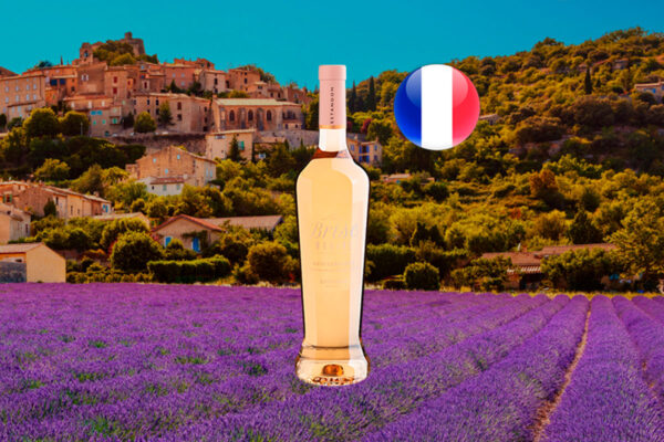 Estandon Brise Marine Mediterranee Rose 2021 - Thumbnail
